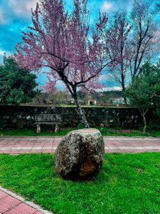 Retiro-de-yoga-con-Chary-Lozano-clases-de-yoga-en-plena-naturaleza-19